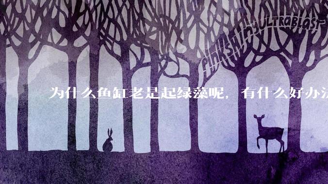 为什么鱼缸老是起绿藻呢，有什么好办法不用整天擦鱼缸？